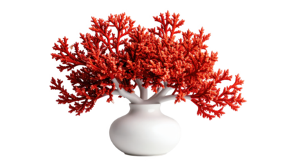 Coral tree arrangement in white vase isolated on transparent background