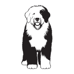 Old English Sheepdog