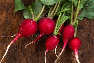 Freshly harvested radishes ready for cooking