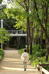 People Walking in a Forest Park with Elevated Walkway