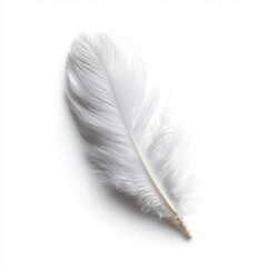 Delicate White Feather, Nature's Beauty , white background cut out PNG
