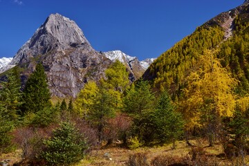 Obraz premium 四川省 四姑娘山・双橋溝ハイキング