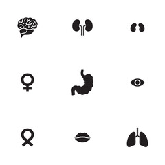 Human Body Organs and Parts Icons Set – Brain, Lungs, Kidneys, Stomach, Eyes, Lips, and Gender Symbols Vector
