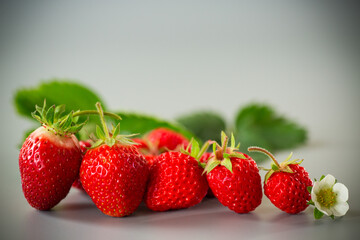 Ripe strawberries on a stylish gray surface