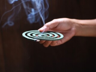 A person's hand holds a circular mosquito coil with the tip burning and smoking.