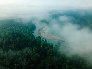 Misty Aerial View of Tropical Rainforest and River