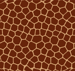 giraffe's coat, texture, pattern, colors of nature

