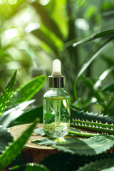 A glass vial of serum placed among fresh aloe leaves, a skin care product