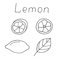 Lemon doodle set, hand drawing, vector illustration