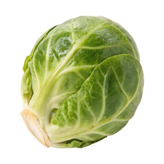 Obraz premium Freshly harvested brussel sprout isolated on a white background showcasing vibrant green texture and natural sheen