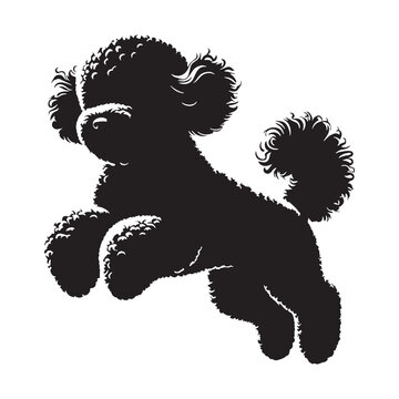 Lively Bichon Frise digital black silhouette, perfect for clear and high-quality rendering - Bichon Frise silhouette - Bichon Frise Vector - Silhouette of Bichon Frise - dog silhouette

