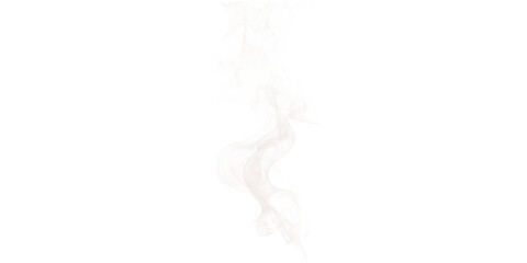 Soft rising smoke swirl on transparent background – abstract light gray smoky texture with gentle...