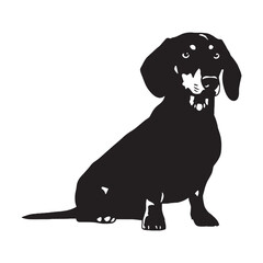 Essential Dachshund canine digital black graphic, a powerful tool for your various endeavors - Dachshund silhouette - Dachshund Vector - Silhouette of Dachshund - dog illustration

