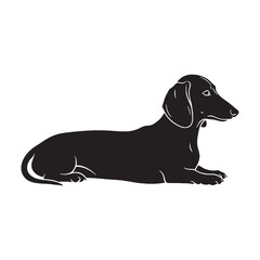 Standard Dachshund digital black vector, a classic and easy-to-use option for adaptation - Dachshund silhouette - Dachshund Vector - Silhouette of Dachshund - dog vector

