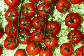 Vegetable background of fresh whole tomatoes in water, splash of water, top view.