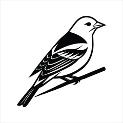 Western Tanager on Abstract Branch
