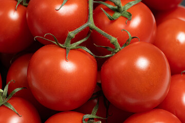 Fresh Cocktail Tomatoes on Green Stem