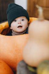 Sweet baby boy playing in big pumpkin at front door with autumn rustic decor. Happy halloween and Thanksgiving. Cute little child in cozy sweater sitting with pumpkins on porch