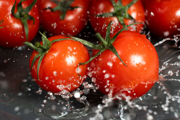 Fresh whole tomatoes in a splash of water