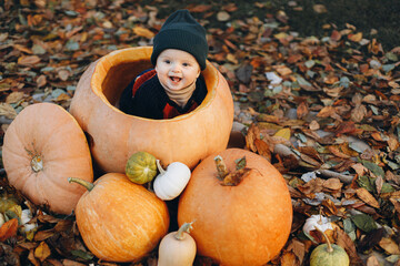 Adorable baby boy playing in big pumpkin and autumn leaves in fall park. Cute happy little child in...