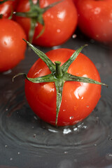 Fresh whole tomatoes in a splash of water