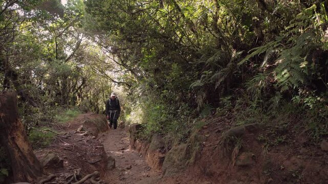 hiker in rainforest near mount pulag, Philippines 