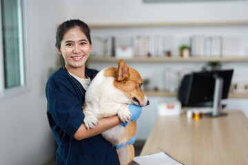 Veterinary Care. Caring veterinarian holding a dog and smiling in a modern clinic.