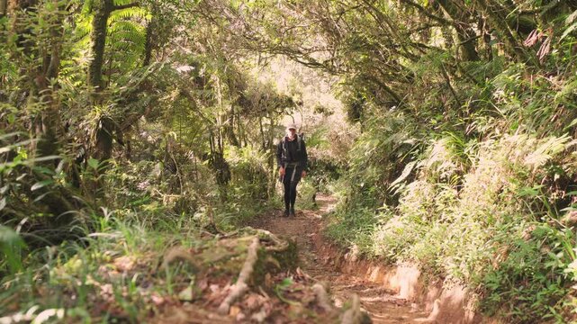 hiker in rainforest near mount pulag, Philippines 