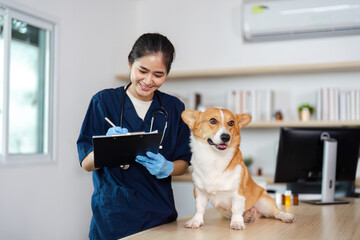Veterinary Care. Joyful veterinarian documenting a dog's health progress in a clinic.