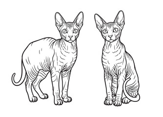 Obraz premium Vector of striking outline illustration of two Donskoy cats, one standing and one sitting, showcasing their unique hairless appearance. Pet.
