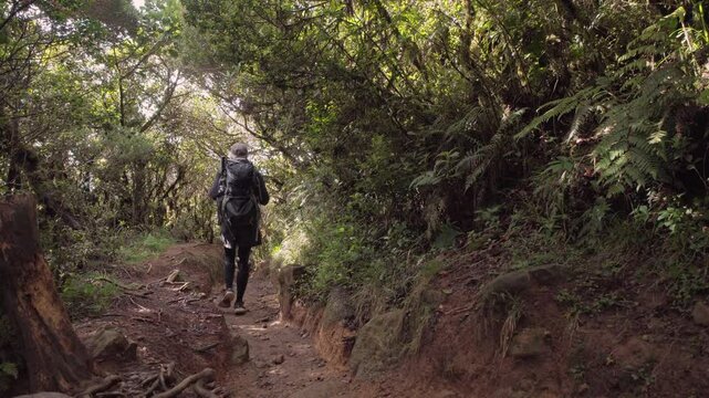 hiker in rainforest near mount pulag, Philippines 