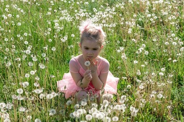 Young Ballerina in a pink tutu sits in a meadow of dandelions, holding one gently in her hand.