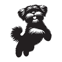 Obraz premium Proud Shih Tzu digital black form, making an impactful statement in any design - Shih Tzu silhouette - Shih Tzu Vector - Silhouette of Shih Tzu - dog silhouette