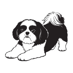 Playful Shih Tzu black vector graphic, reflecting its lively and spirited temperament - Shih Tzu silhouette - Shih Tzu Vector - Silhouette of Shih Tzu - dog silhouette

