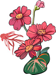 Summer bouquet of garden (meadow, field) flowers. Botanical digital illustration of flowers,blades of grass,twigs in a modern flat style with a black outline. Perfect for weddings,birthdays,branding