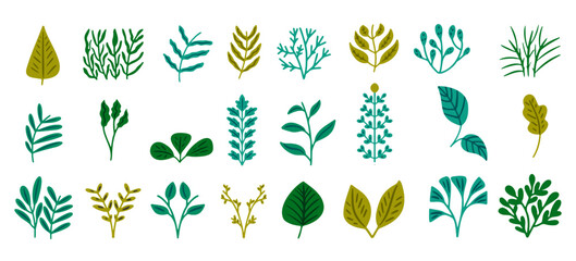 Green plants in flat style graphic set. Different seasonal autumn foliage, natural hand drawn design elements.
