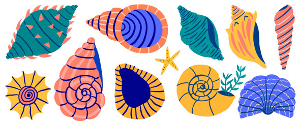 Set of hand drawn colorful shells with texture. Seashells set. Marine life elements. Vector clipart