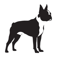 Recognizable Boston Terrier digital black vector, embodying the iconic appearance of the breed - Boston Terrier silhouette - Boston Terrier Vector - Silhouette of Boston Terrier - dog vector

