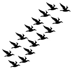 Birds Flying in Formation Silhouette