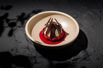 Exquisite dessert presentation featuring chocolate and berry sauce at dusk
