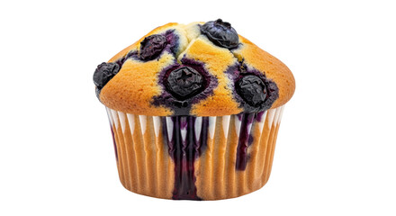 Isolated Blueberry Muffin