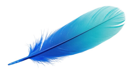 Isolated Feather