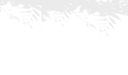 shadow overlay effects, realistic  leaf shadow on transparent background, Natural shadow, mockup of shadow for product presentation, backdrop, Summer sunlight and shadow overlay