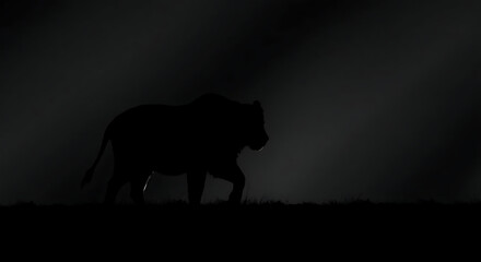 Naklejka premium A silhouette of a large animal walking in the dark against a dimly lit background at night time