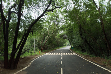 Obraz premium Where the sky turns grey and the earth stays green — a quiet road unfolds.