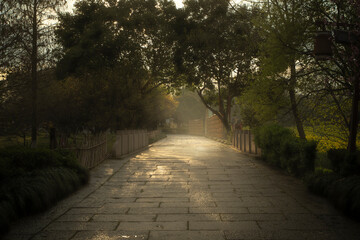 Gravel paths and mist in the middle of a secluded wood