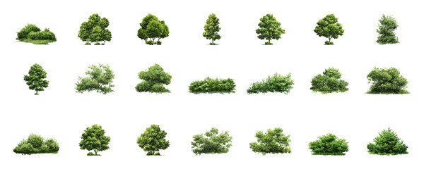 Green Trees And Shrubs Digital Illustration Set. Landscape Architecture And Urban Green Space Collection. Isolated Vector Artwork