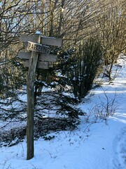 Naklejka premium wooden road sign in the winter forest