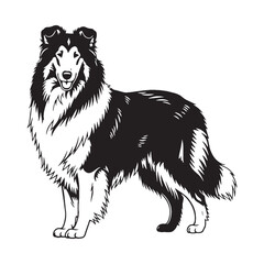 Intelligent Collie digital black silhouette, embodying its bright and perceptive nature - Collie silhouette - Collie Vector - Silhouette of Collie - dog silhouette

