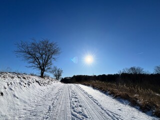 winter road in the field